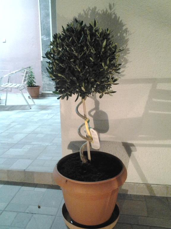 כיוס Mastic Point Studios מראה חיצוני תמונה